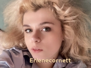 Erlenecornett