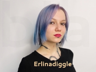 Erlinadiggle