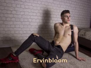 Ervinbloom