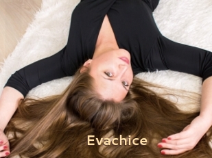 Evachice