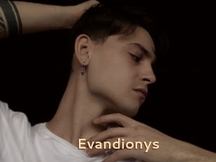 Evandionys