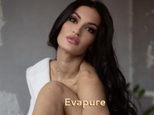 Evapure