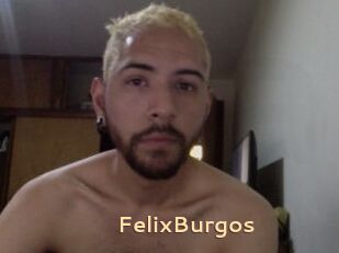 FelixBurgos