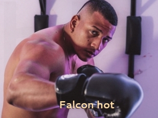 Falcon_hot