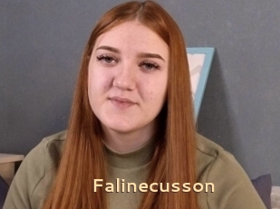 Falinecusson