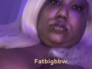 Fatbigbbw