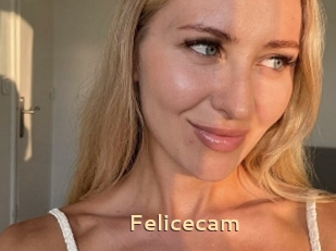 Felicecam