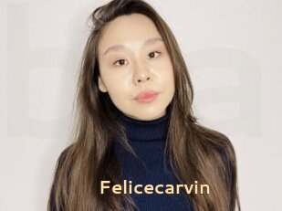 Felicecarvin