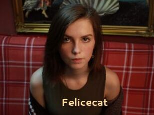 Felicecat