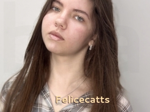 Felicecatts