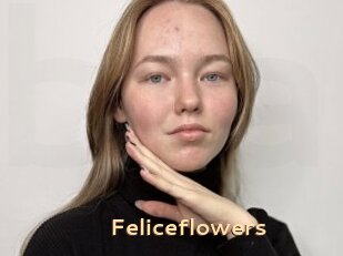 Feliceflowers