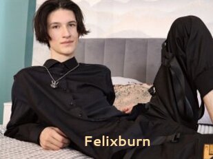 Felixburn