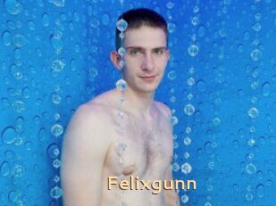 Felixgunn