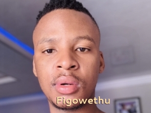 Figowethu