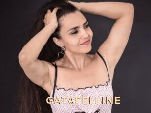 GATAFELLINE