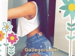 Gallegoisabel