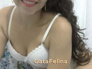 GataFelina