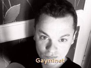 Gayminet