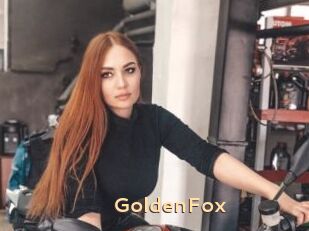 GoldenFox