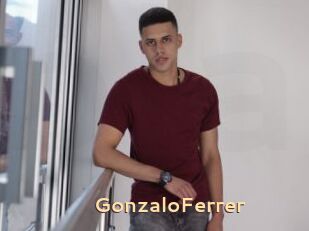 GonzaloFerrer