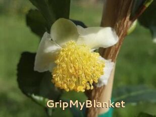 GripMyBlanket