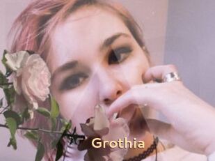 Grothia