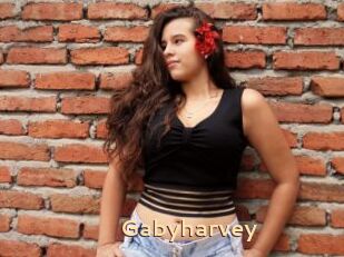 Gabyharvey