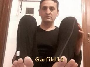 Garfild18