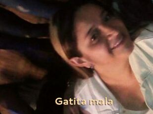 Gatita_mala