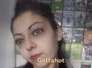 Gattahot