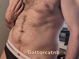 Gattorcatnb