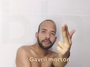 Gavril_morton