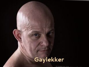 Gaylekker