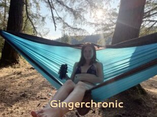 Gingerchronic