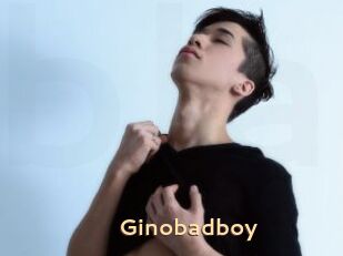 Ginobadboy