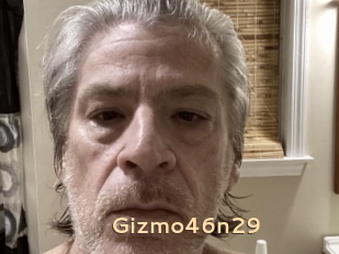 Gizmo46n29