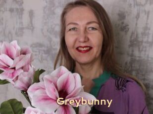 Greybunny