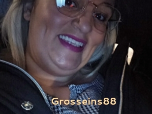 Grosseins88