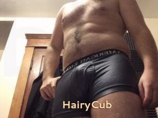 HairyCub