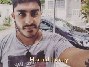 Harold_horny