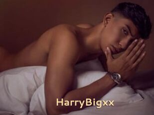 HarryBigxx