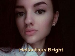 Helianthus_Bright