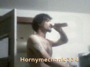 Hornymechanic334