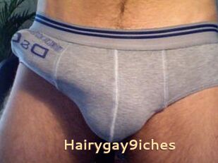 Hairygay9iches