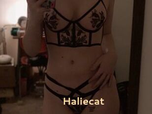 Haliecat