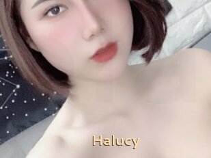 Halucy