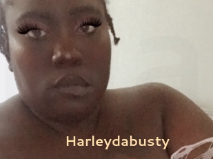 Harleydabusty