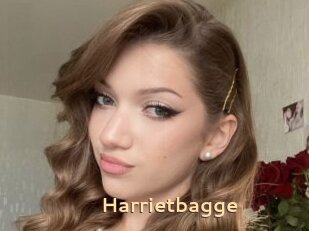 Harrietbagge