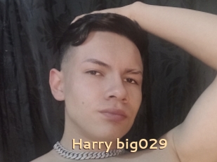 Harry_big029