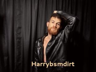 Harrybsmdirt